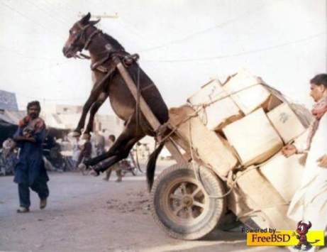 A donkey carrying a heavy load of boxes in a rural area.
