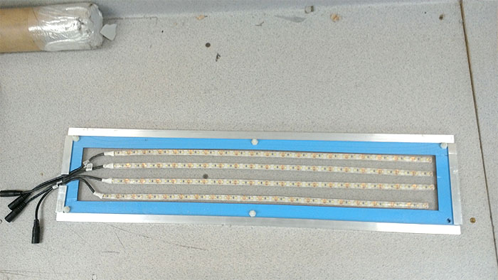 Rectangular LED light fixture on wall with white LEDs and blue trim.