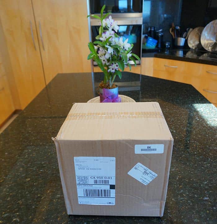 Cardboard box on black granite countertop with potted plant and UPS shipping label.
