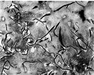 Metal surface with scratches and imperfections.