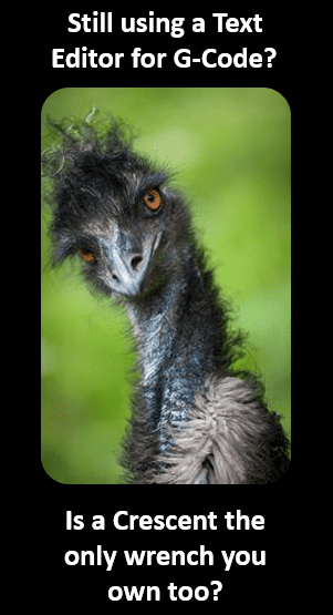 An emu's head and neck, with ruffled dark gray feathers and bright orange eyes.