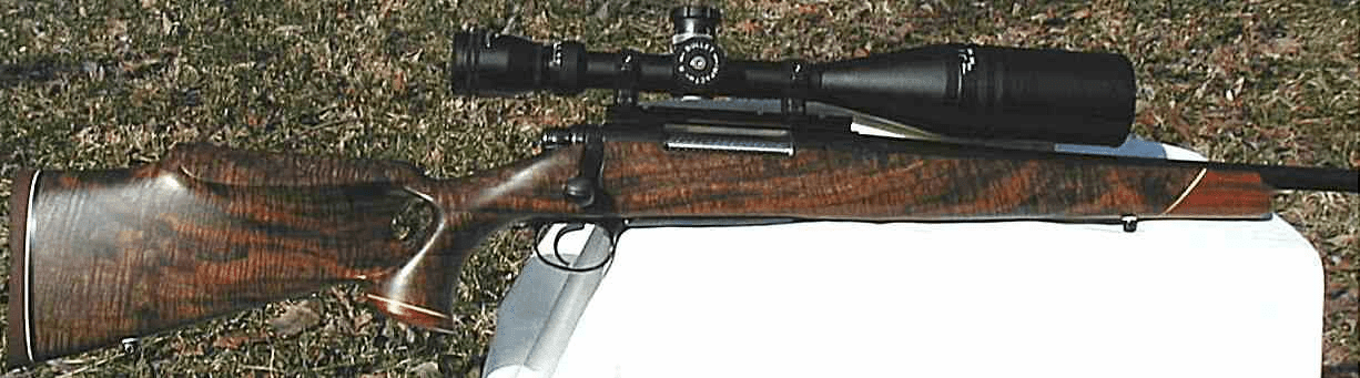 Dark wood stocked rifle with black barrel and mounted scope on grassy background.